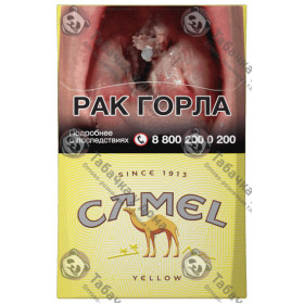 Camel Yellow Camel Yellow