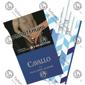 Cavallo by Philippe Andre Cavallo by Philippe Andre